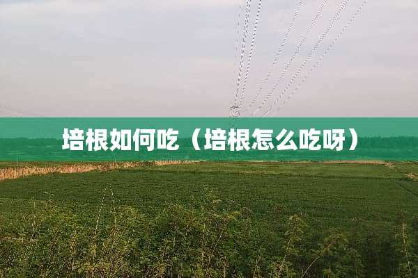 培根如何吃（培根怎么吃呀）
