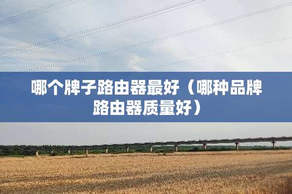 哪个牌子路由器最好（哪种品牌路由器质量好）
