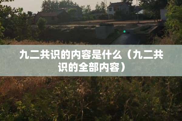 九二共识的内容是什么（九二共识的全部内容）