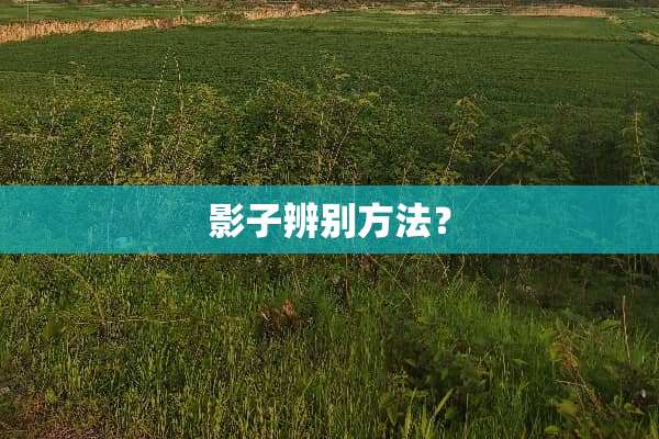 影子辨别方法？