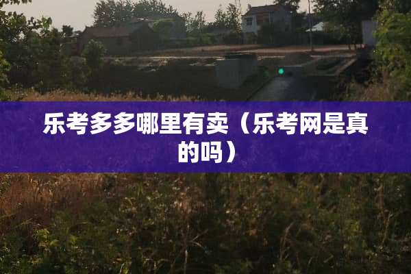 乐考多多哪里有卖（乐考网是真的吗）