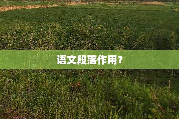 语文段落作用？