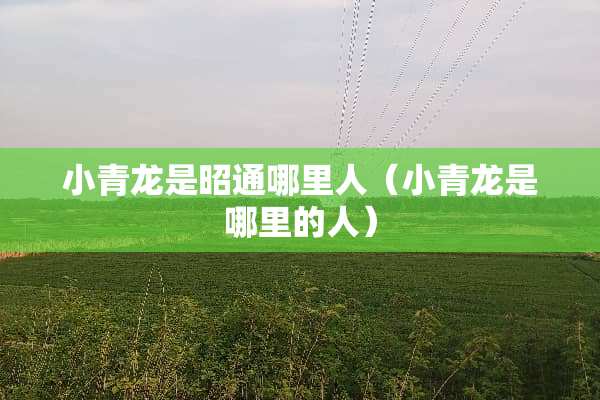 小青龙是昭通哪里人（小青龙是哪里的人）