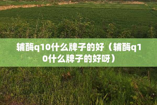 辅酶q10什么牌子的好（辅酶q10什么牌子的好呀）