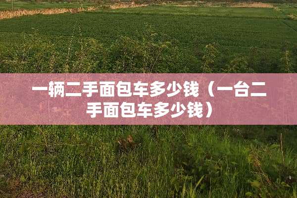 一辆二手面包车多少钱（一台二手面包车多少钱）