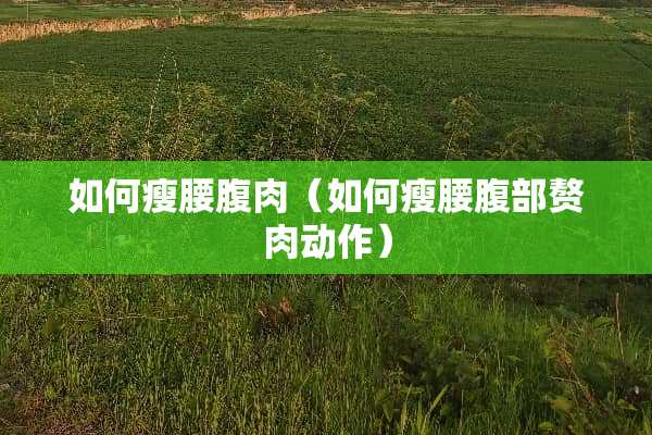 如何瘦腰腹肉（如何瘦腰腹部赘肉动作）