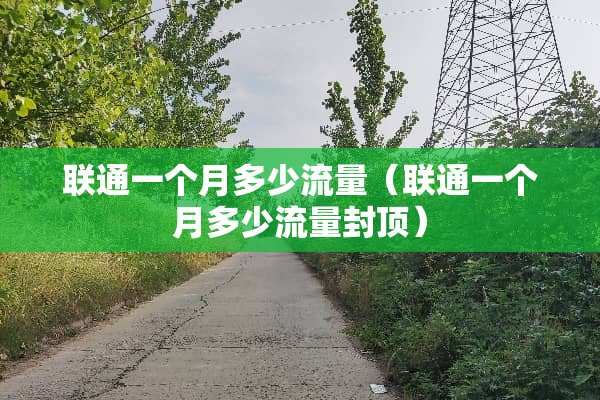 联通一个月多少流量（联通一个月多少流量封顶）
