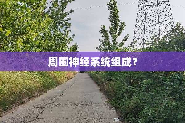 周围神经系统组成？