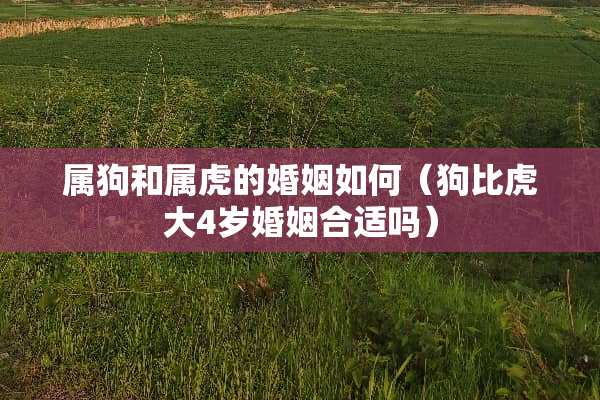 属狗和属虎的婚姻如何（狗比虎大4岁婚姻合适吗）