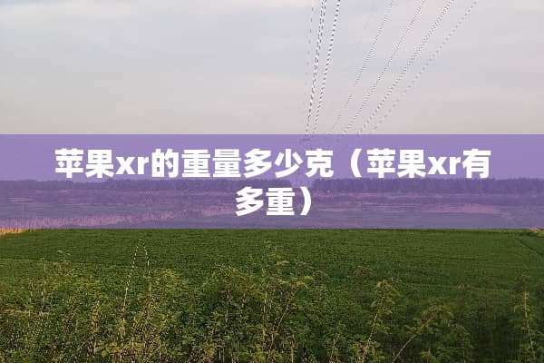 苹果xr的重量多少克（苹果xr有多重）