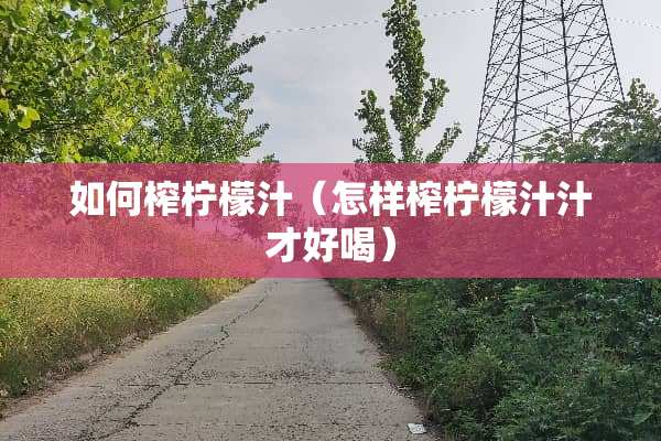 如何榨柠檬汁（怎样榨柠檬汁汁才好喝）