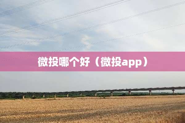 微投哪个好（微投app）