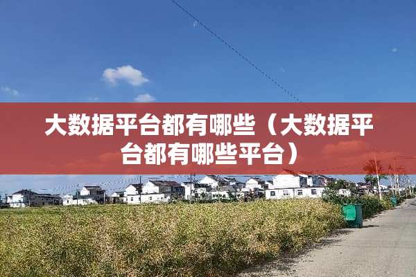 大数据平台都有哪些（大数据平台都有哪些平台）