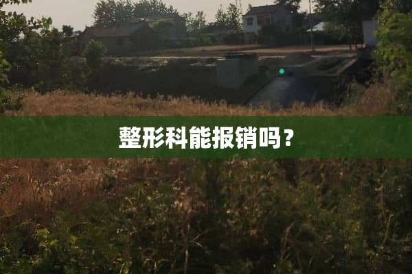 整形科能报销吗？