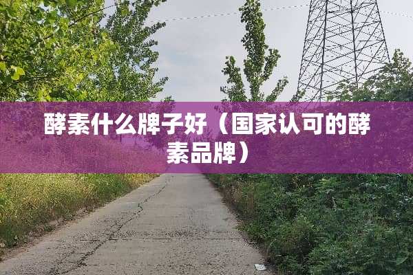 酵素什么牌子好（国家认可的酵素品牌）