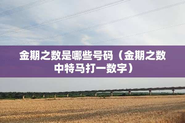 金期之数是哪些号码（金期之数中**打一数字）