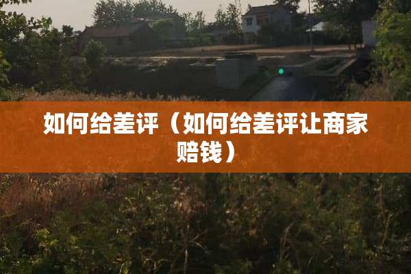 如何给差评（如何给差评让商家赔钱）