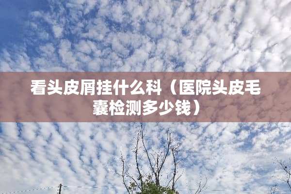 看头皮屑挂什么科（医院头皮毛囊检测多少钱）