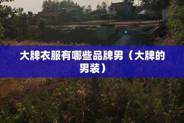 大牌衣服有哪些品牌男（大牌的男装）