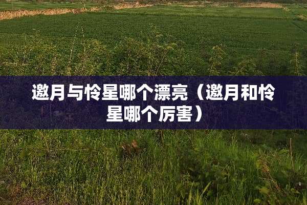 邀月与怜星哪个漂亮（邀月和怜星哪个厉害）