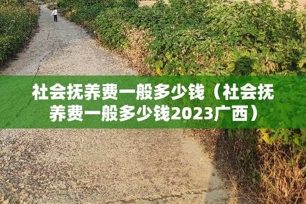 社会抚养费一般多少钱（社会抚养费一般多少钱2023广西）