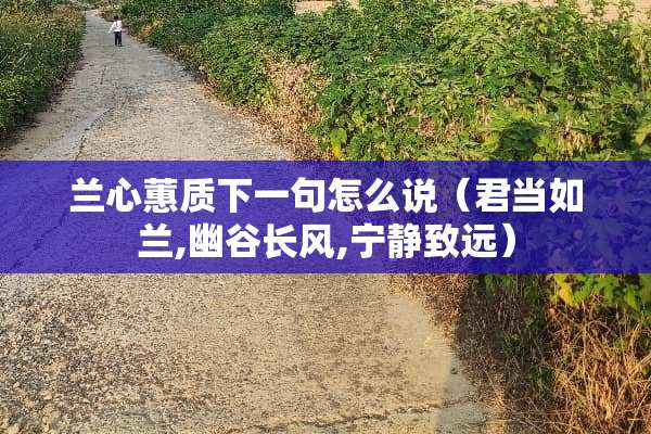兰心蕙质下一句怎么说（君当如兰,幽谷长风,宁静致远）