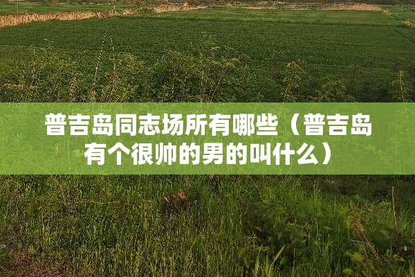 普吉岛同志场所有哪些（普吉岛有个很帅的男的叫什么）
