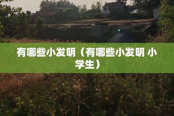 有哪些小发明（有哪些小发明 小学生）