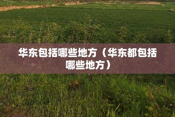 华东包括哪些地方（华东都包括哪些地方）