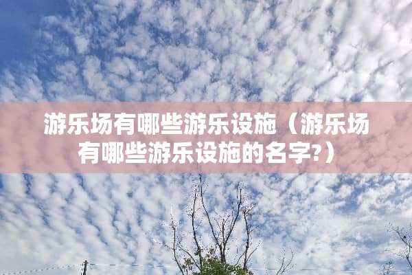 游乐场有哪些游乐设施（游乐场有哪些游乐设施的名字?）
