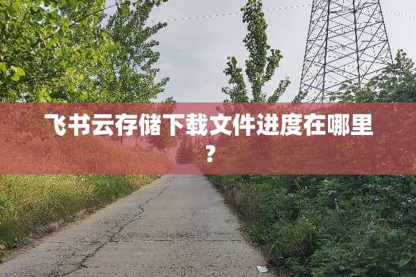 飞书云存储下载文件进度在哪里？