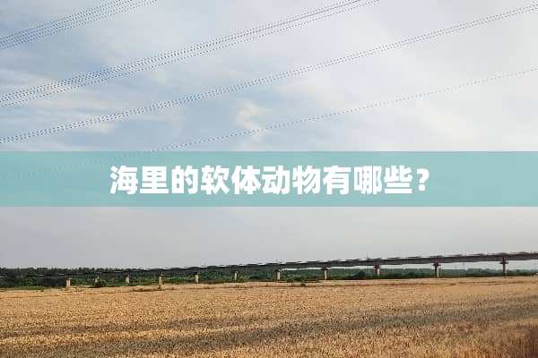 海里的软体动物有哪些？