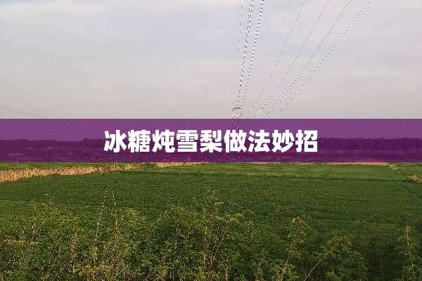 冰糖炖雪梨做法妙招