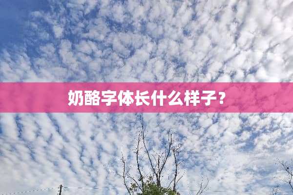 奶酪字体长什么样子？