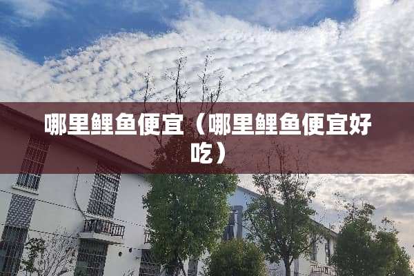 哪里鲤鱼便宜（哪里鲤鱼便宜好吃）