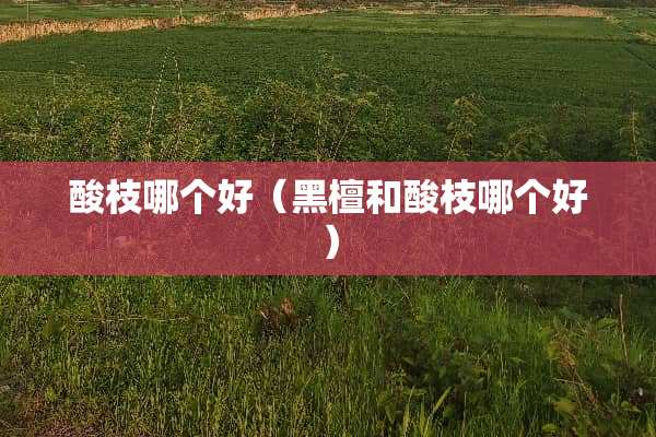 酸枝哪个好（黑檀和酸枝哪个好）
