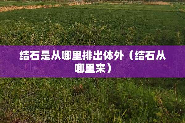 结石是从哪里排出体外（结石从哪里来）