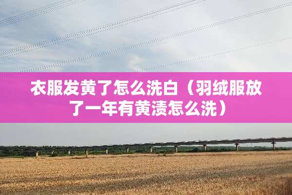 衣服发黄了怎么洗白（羽绒服放了一年有黄渍怎么洗）