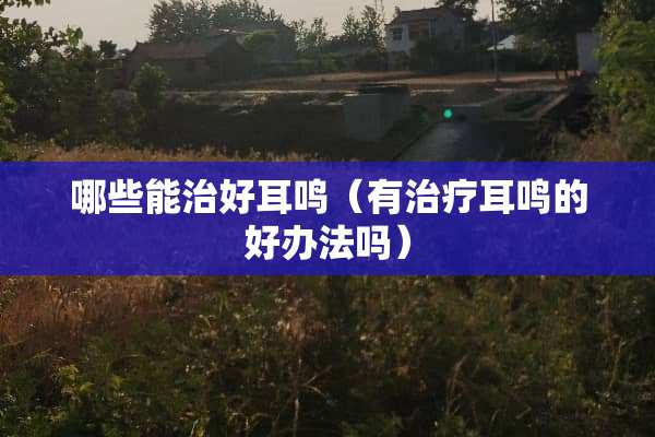 哪些能治好耳鸣（有治疗耳鸣的好办法吗）