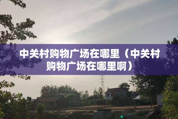 中关村购物广场在哪里（中关村购物广场在哪里啊）