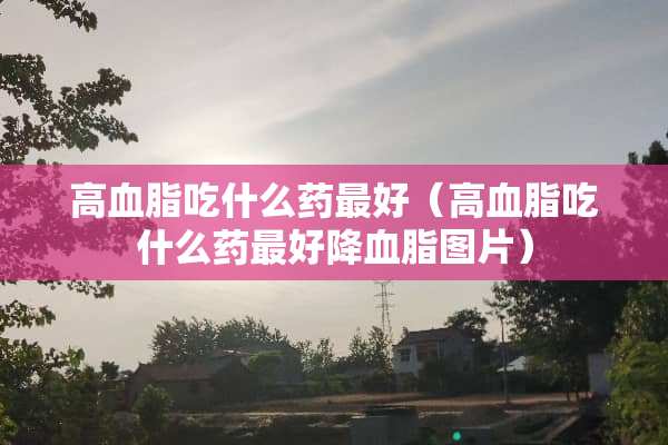 高血脂吃什么药最好（高血脂吃什么药最好降血脂图片）