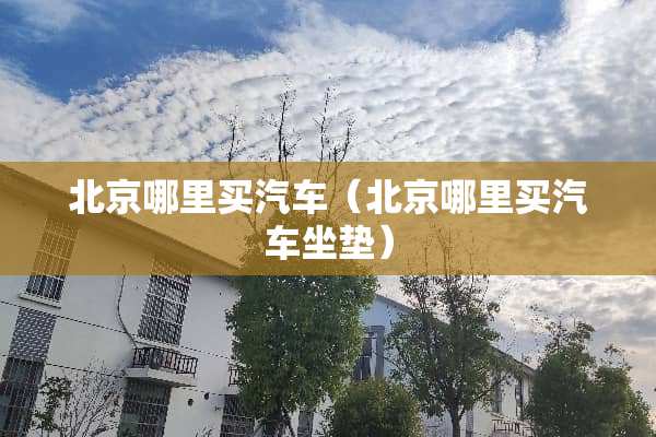 北京哪里买汽车（北京哪里买汽车坐垫）