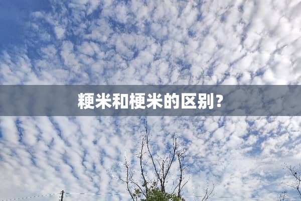 粳米和梗米的区别？