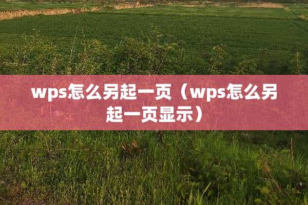 wps怎么另起一页（wps怎么另起一页显示）