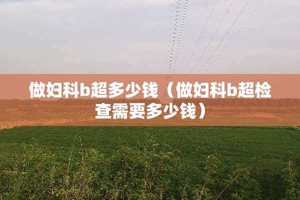 做妇科b超多少钱（做妇科b超检查需要多少钱）