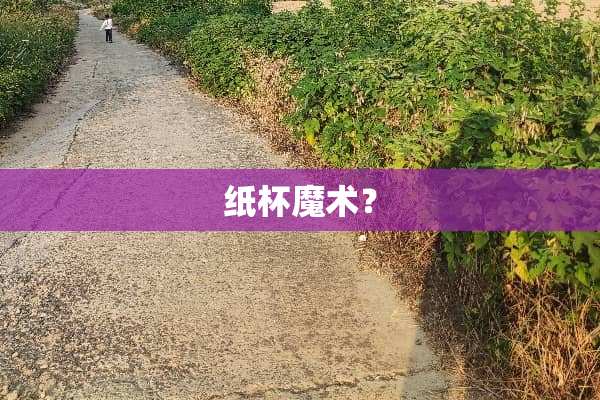 纸杯魔术？