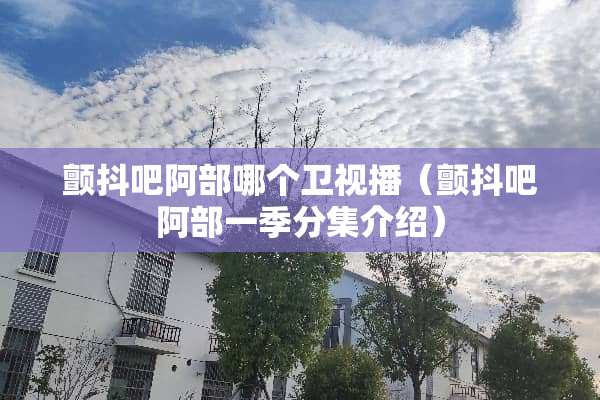 颤抖吧阿部哪个卫视播（颤抖吧阿部一季分集介绍）