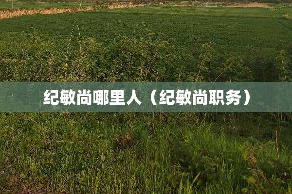 纪敏尚哪里人（纪敏尚职务）