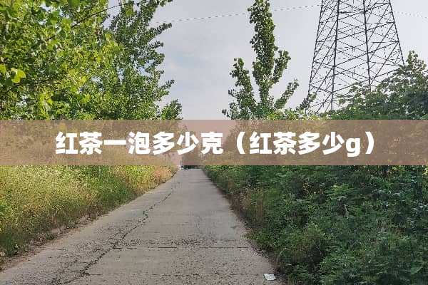 红茶一泡多少克（红茶多少g）