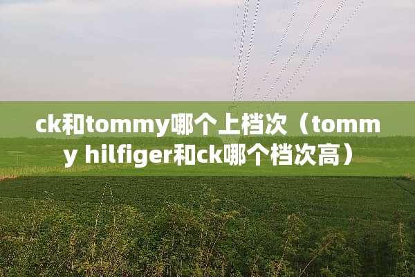 ck和tommy哪个上档次（tommy hilfiger和ck哪个档次高）